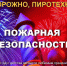 7368c7c9-bcb3-530f-aad0-a845df8a5929.jpg - Администрация г. Сертолово